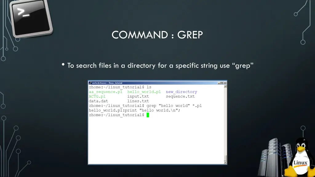 command grep