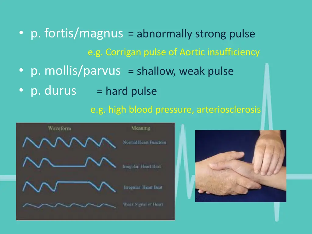 p fortis magnus abnormally strong pulse