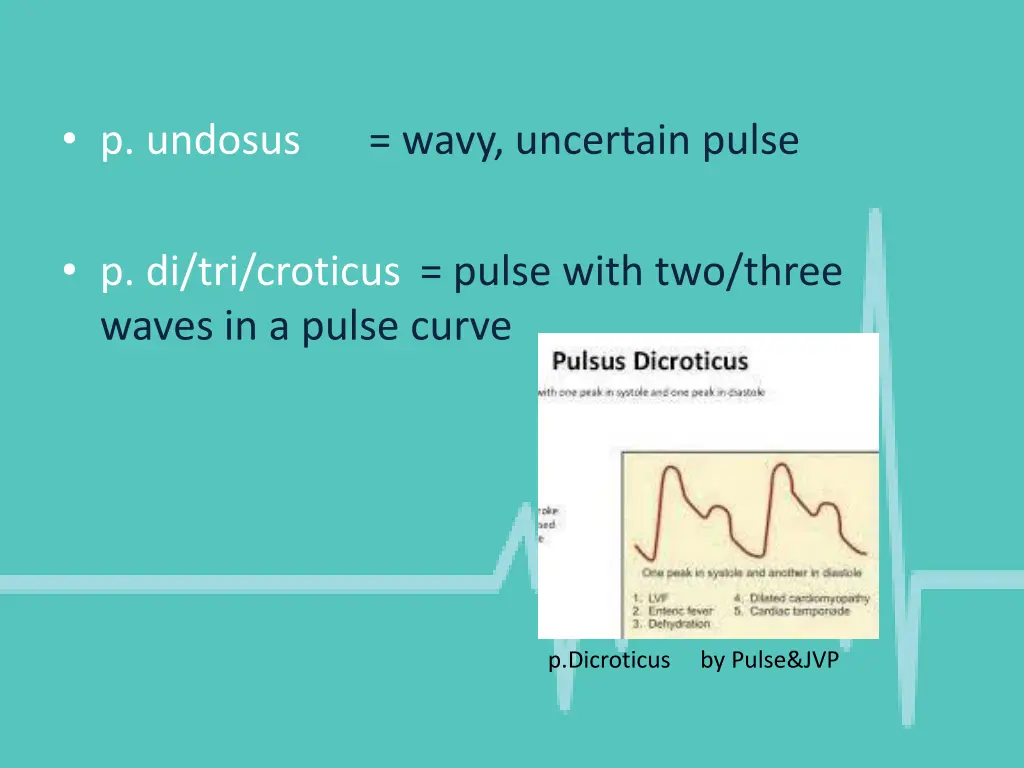 p undosus