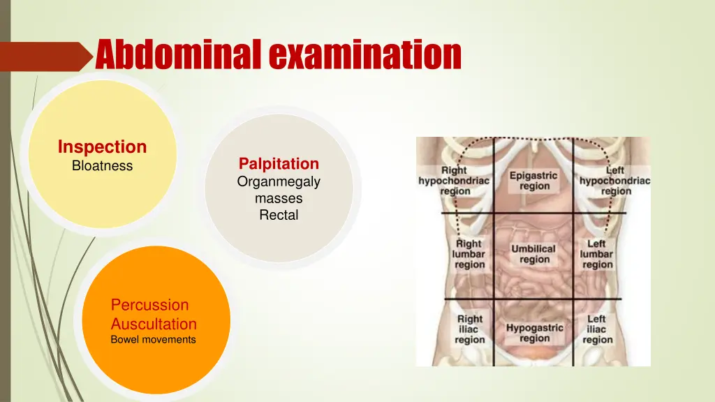 abdominal examination