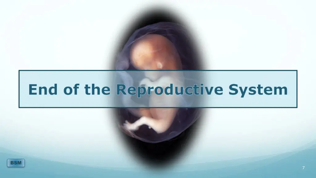 end of the reproductive system