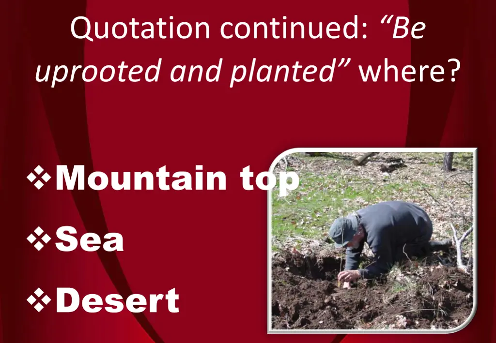 quotation continued be uprooted and planted where