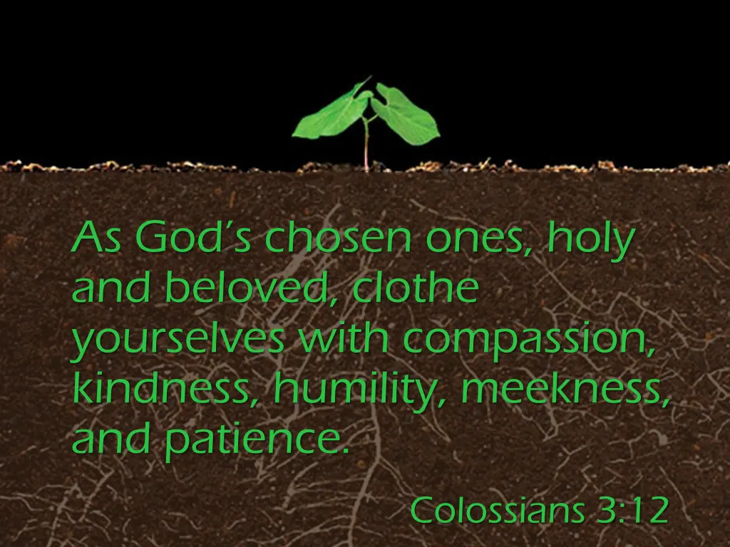 as god s chosen ones holy and beloved clothe