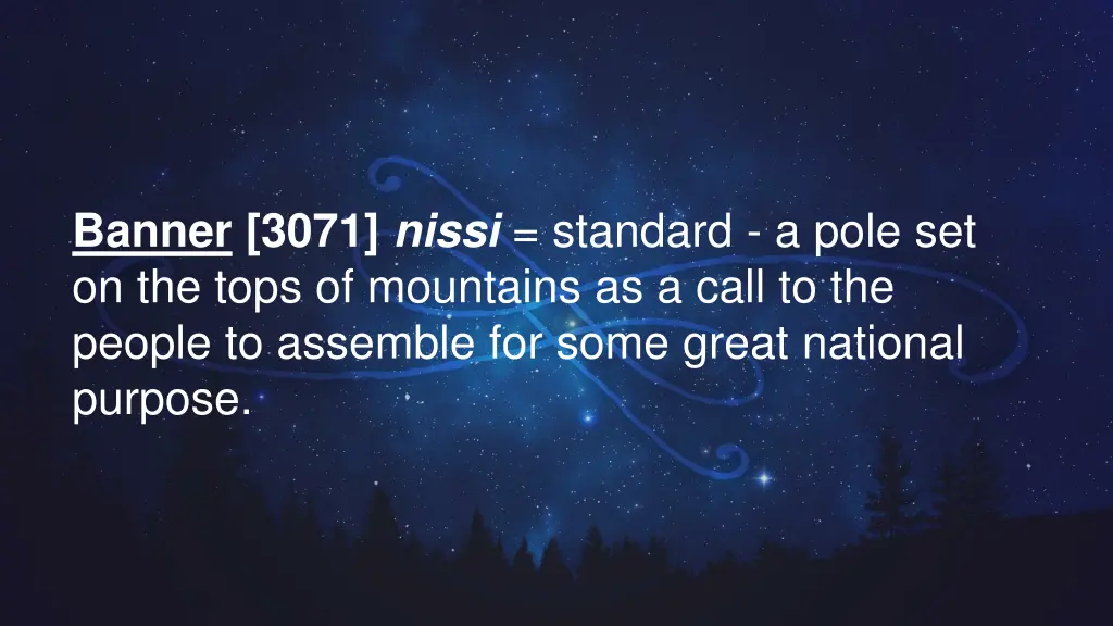 banner 3071 nissi standard a pole set on the tops