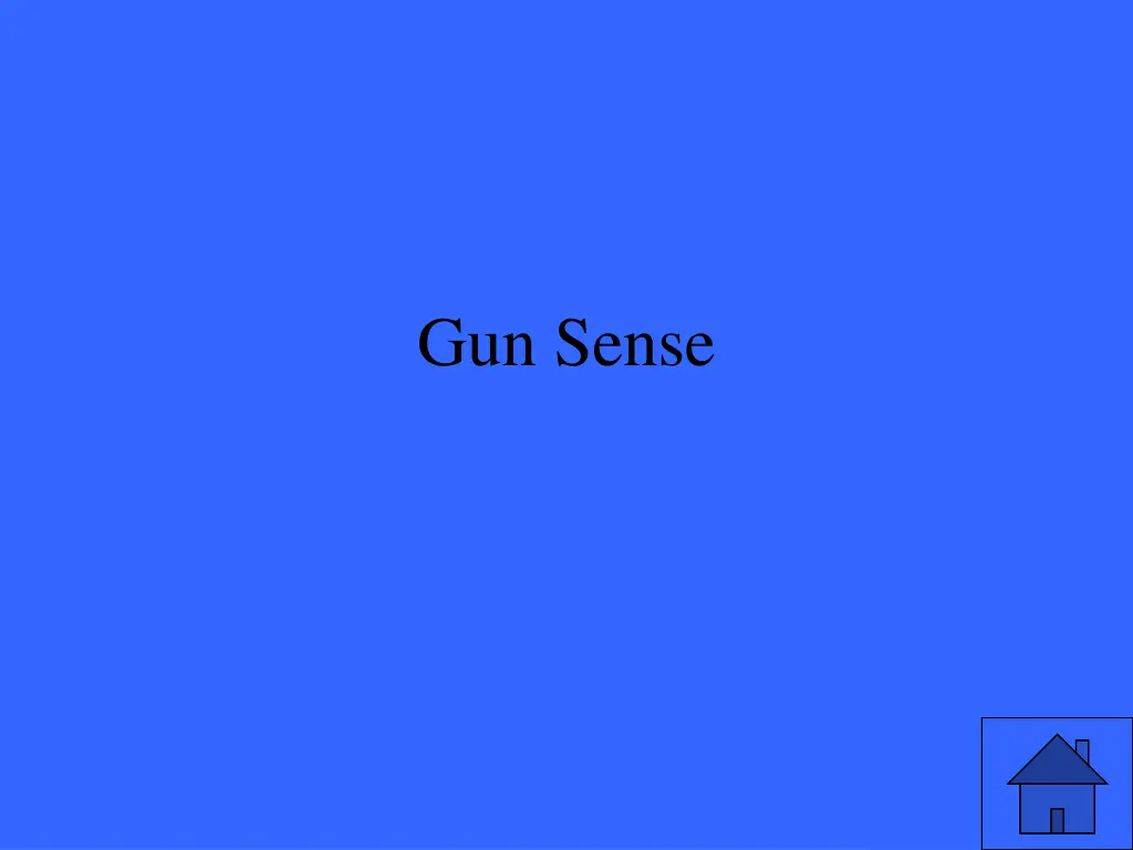 gun sense