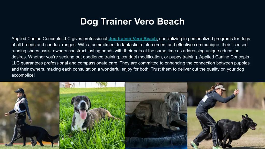 dog trainer vero beach