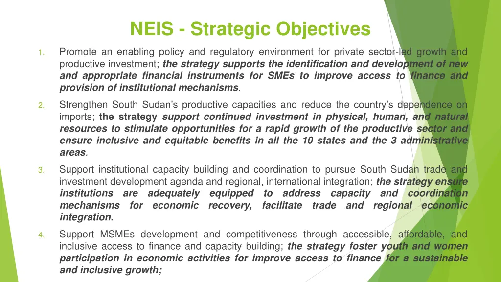 neis strategic objectives