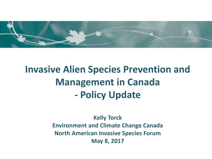 invasive alien species prevention and management