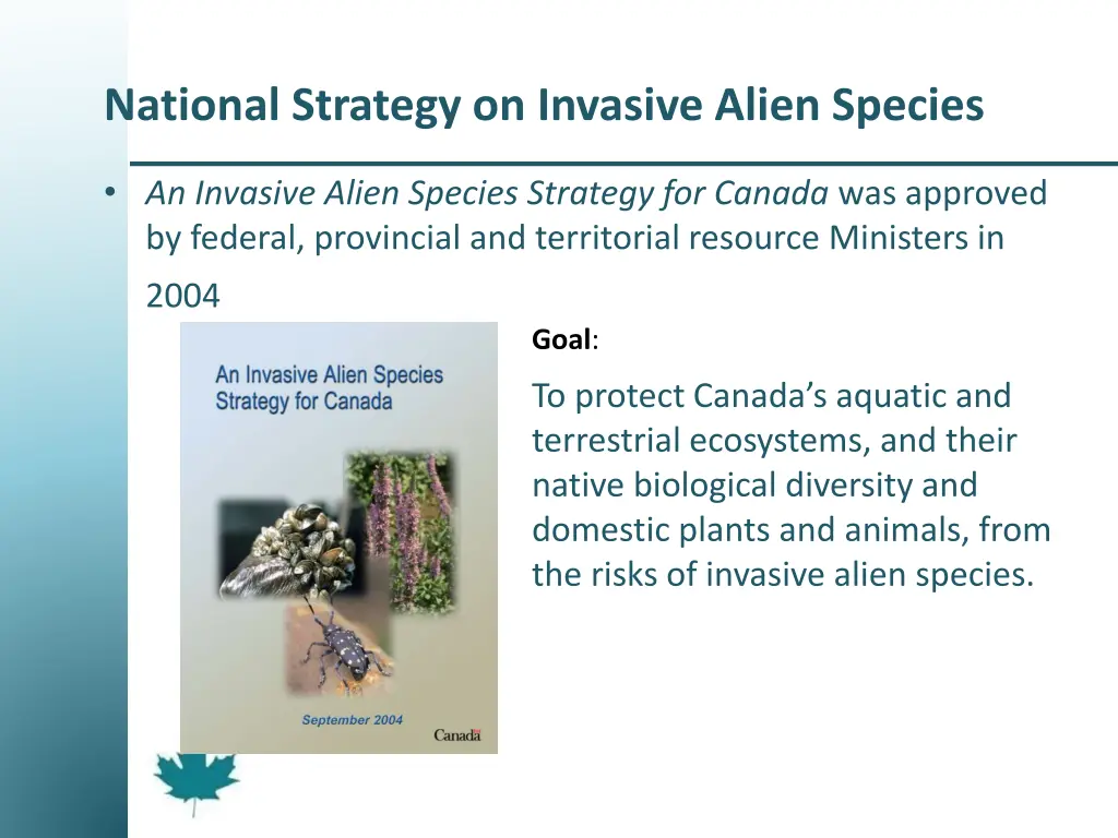 national strategy on invasive alien species