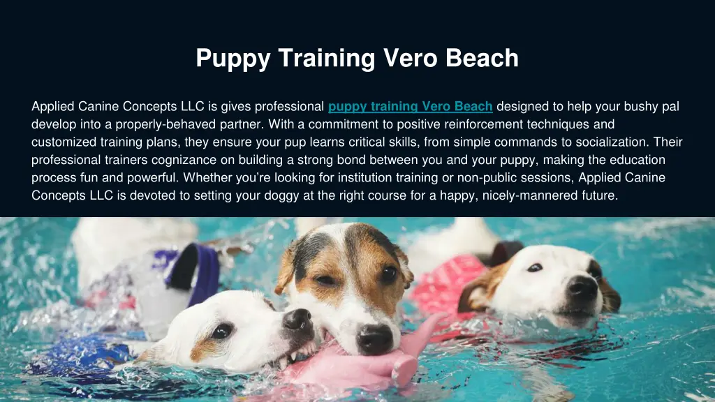 puppy training vero beach