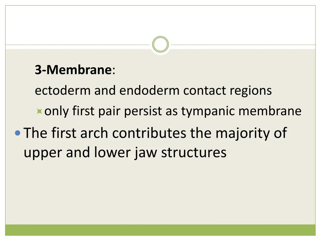 3 membrane ectoderm and endoderm contact regions