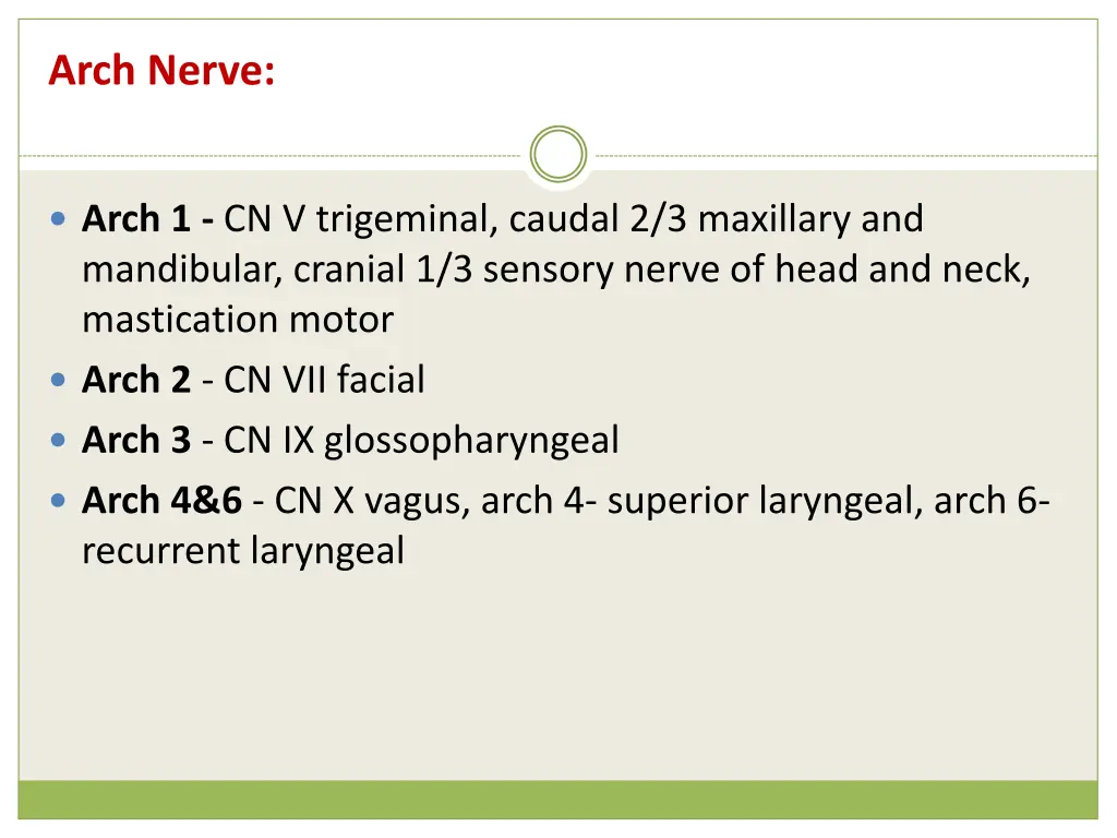 arch nerve