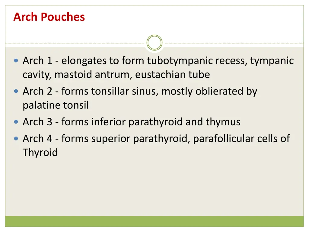 arch pouches