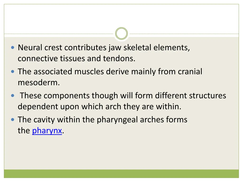 neural crest contributes jaw skeletal elements