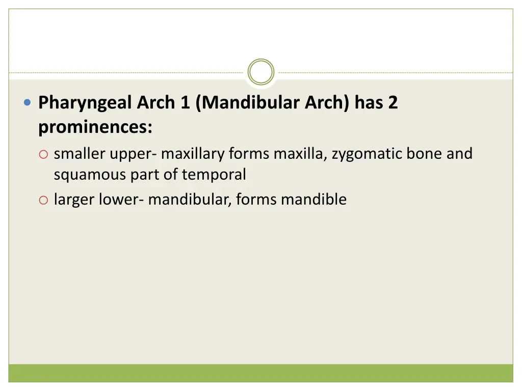 pharyngeal arch 1 mandibular arch