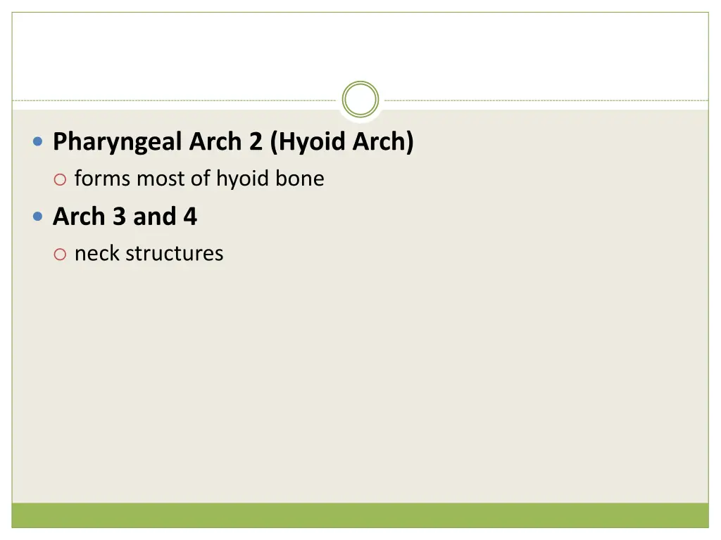 pharyngeal arch 2 hyoid arch