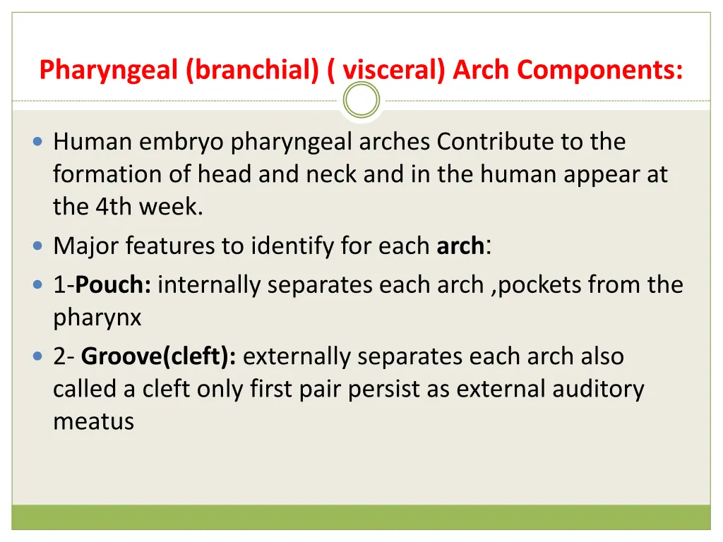 pharyngeal branchial visceral arch components