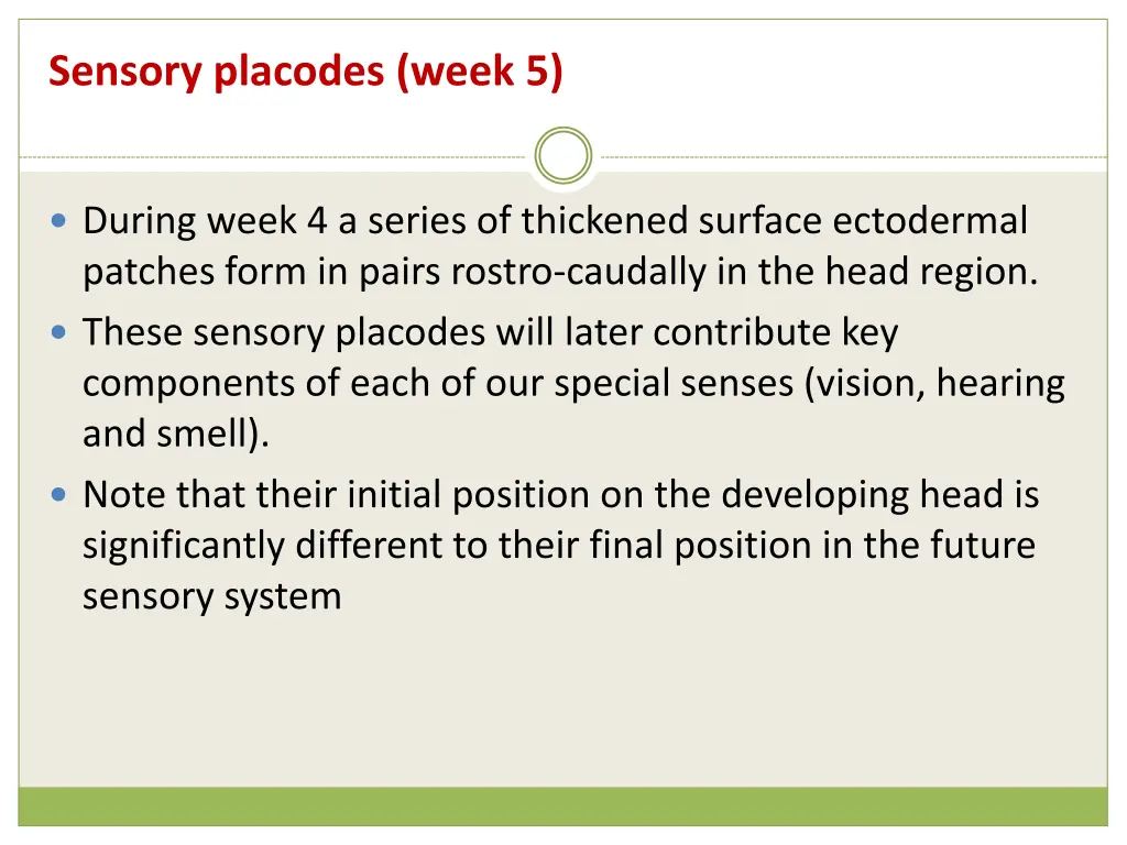 sensory placodes week 5