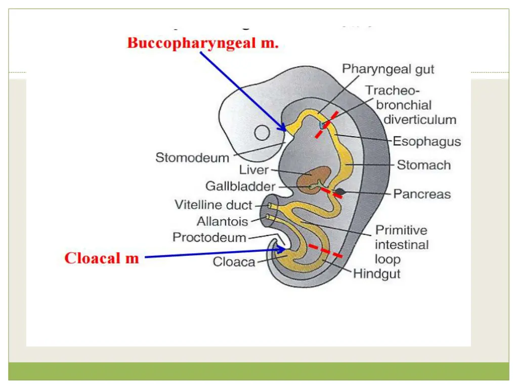 slide7