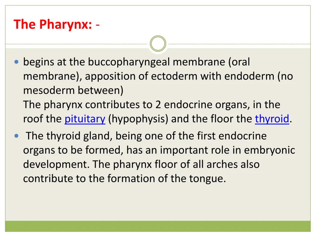 the pharynx