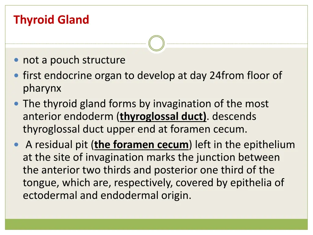 thyroid gland