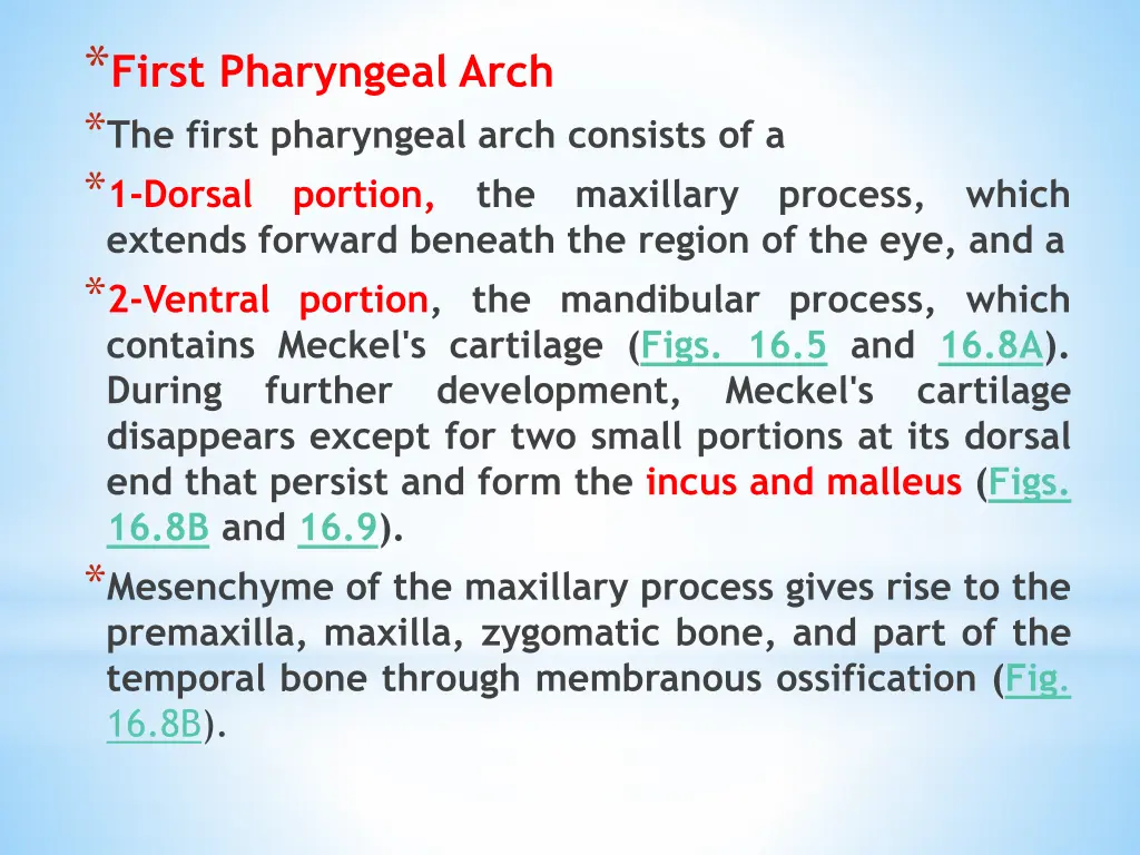 first pharyngeal arch the first pharyngeal arch