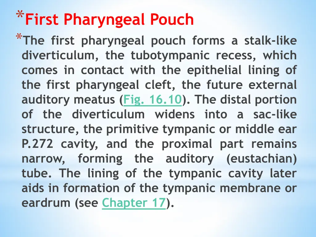 first pharyngeal pouch the first pharyngeal pouch