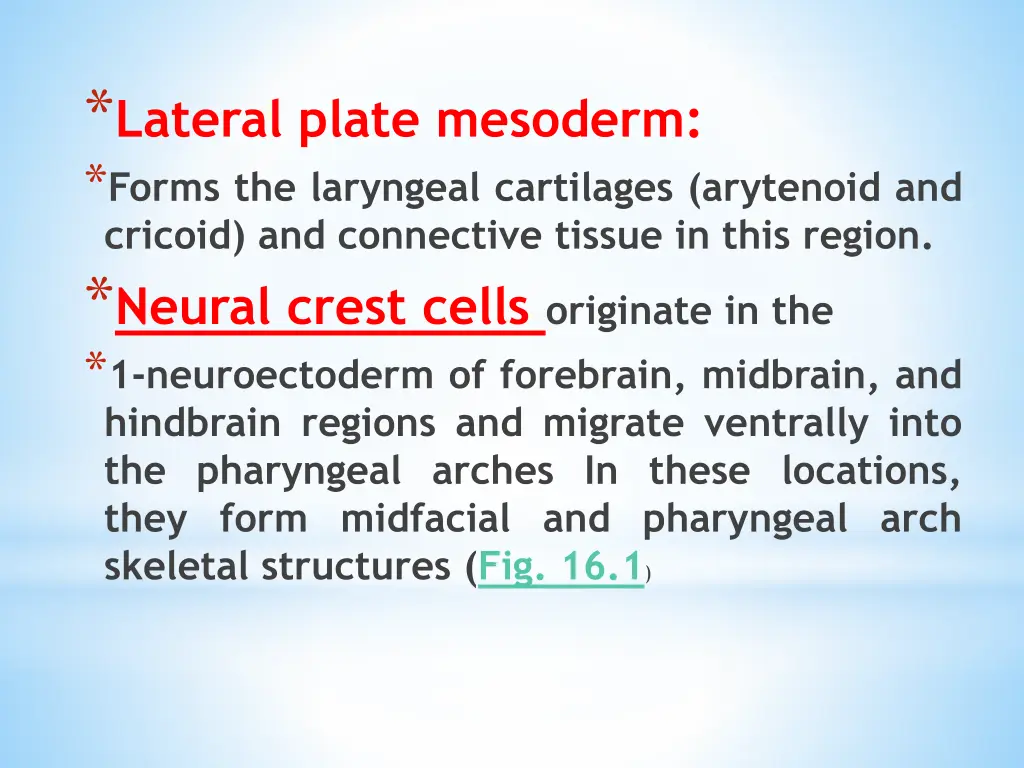 lateral plate mesoderm forms the laryngeal