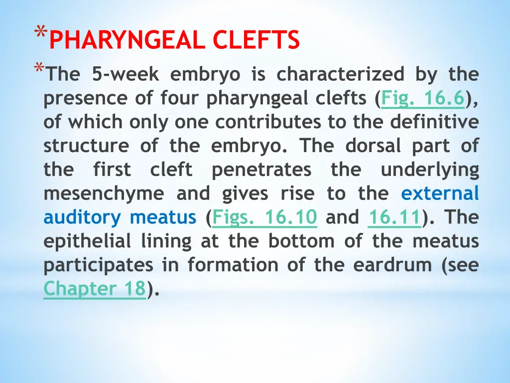 pharyngeal clefts the 5 week embryo