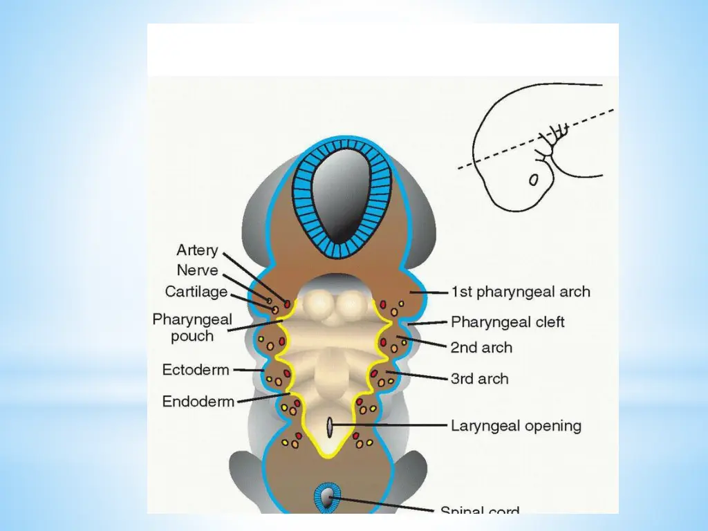 slide10