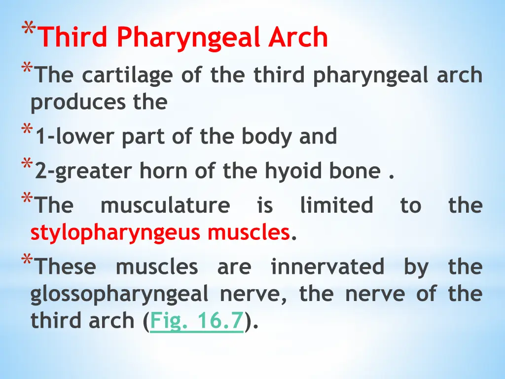 third pharyngeal arch the cartilage of the third