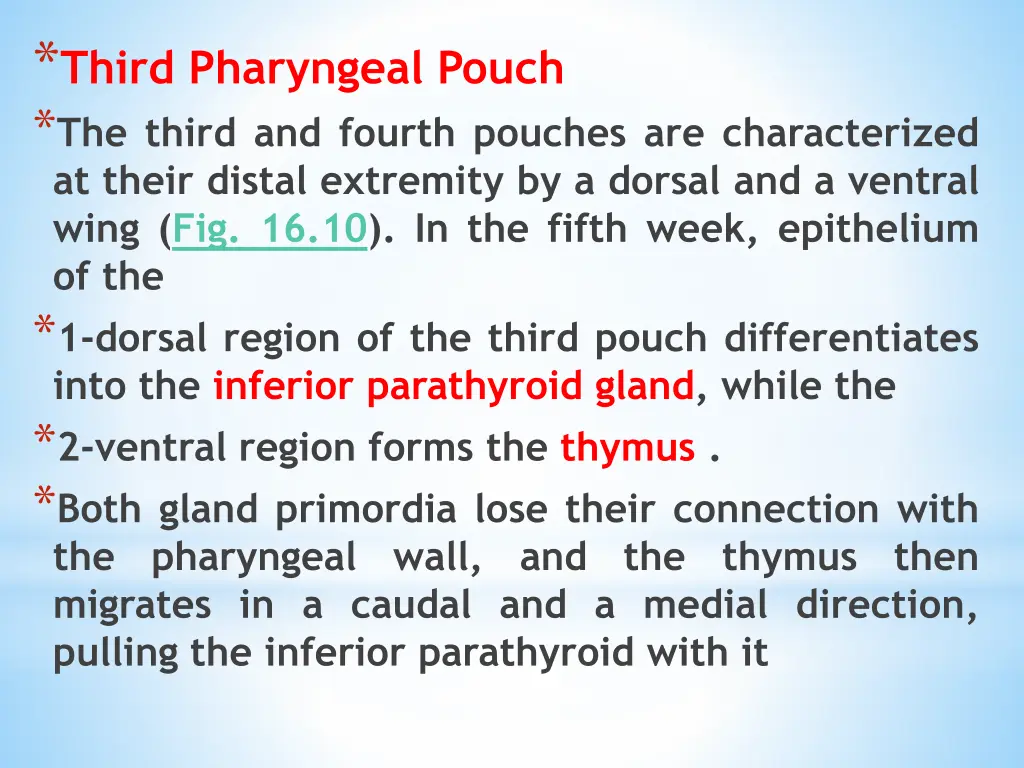 third pharyngeal pouch the third and fourth