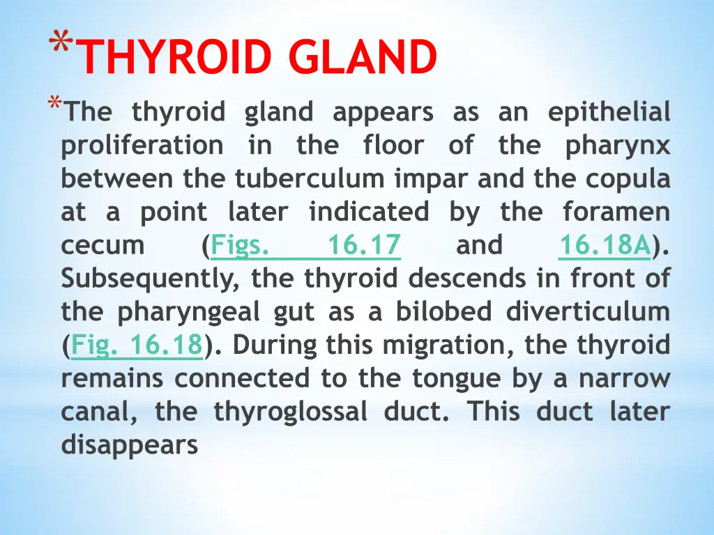 thyroid gland the thyroid gland appears