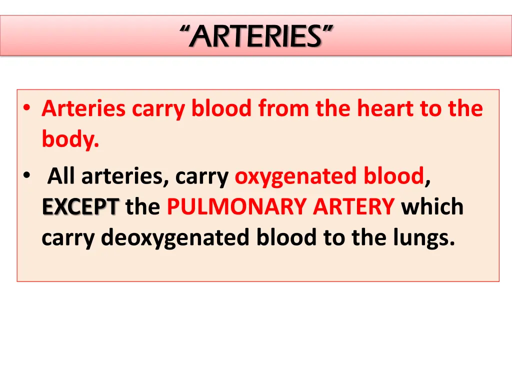 arteries arteries