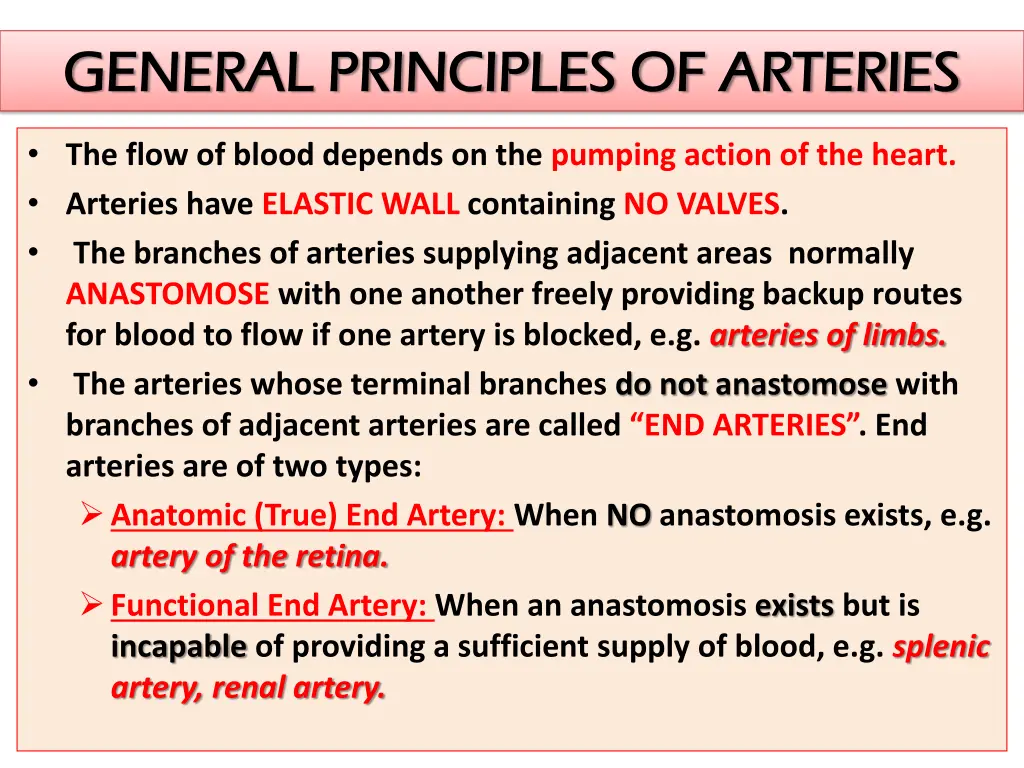 general principles of arteries general principles