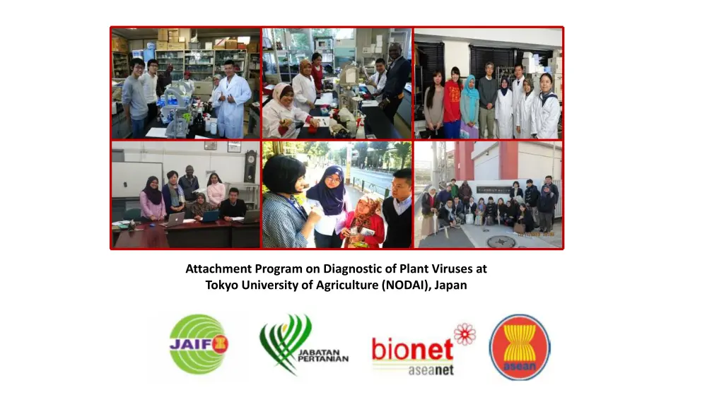 attachment program on diagnostic of plant viruses