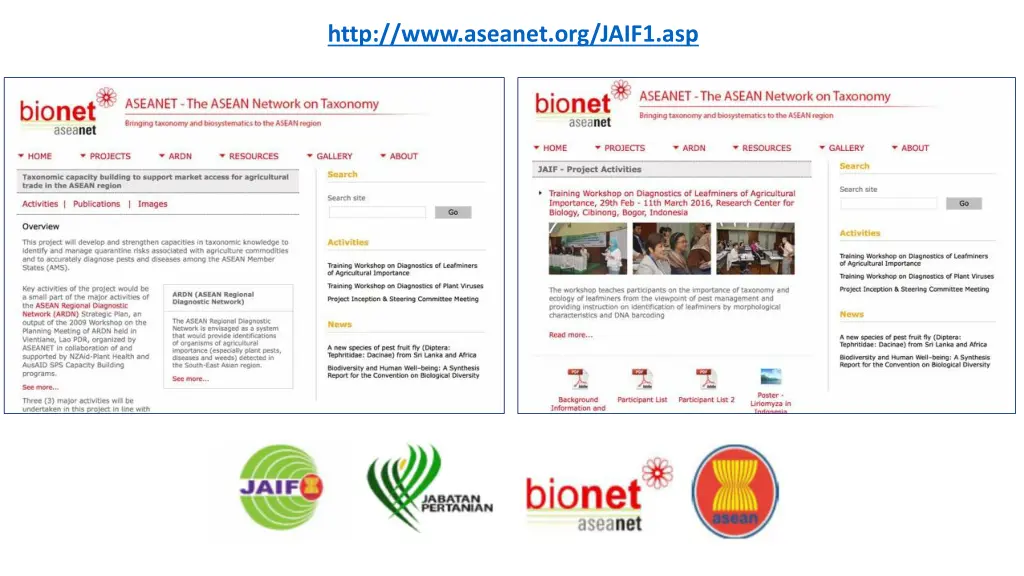 http www aseanet org jaif1 asp