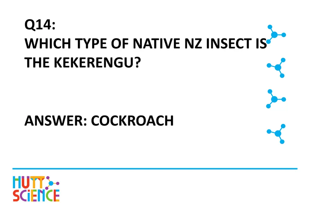 q14 which type of native nz insect