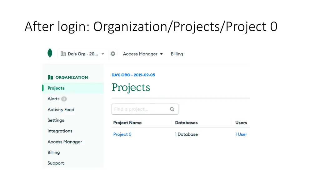 after login organization projects project 0