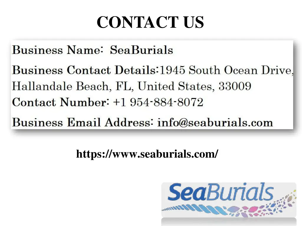 contact us