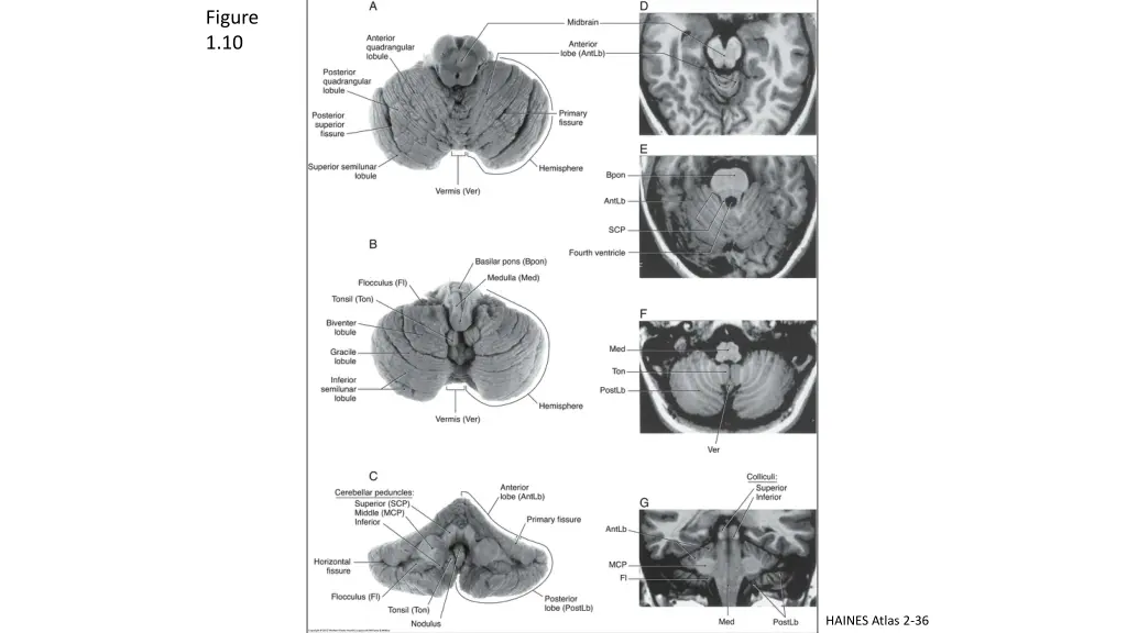 figure 1 10