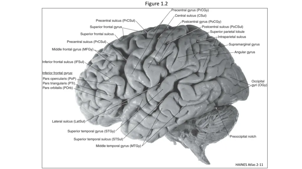 figure 1 2