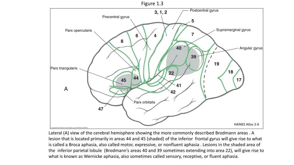 figure 1 3