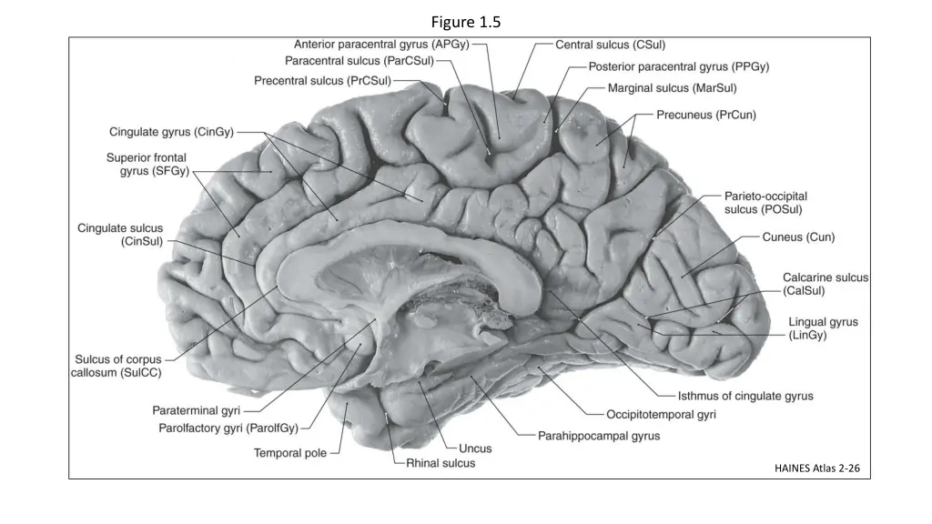 figure 1 5