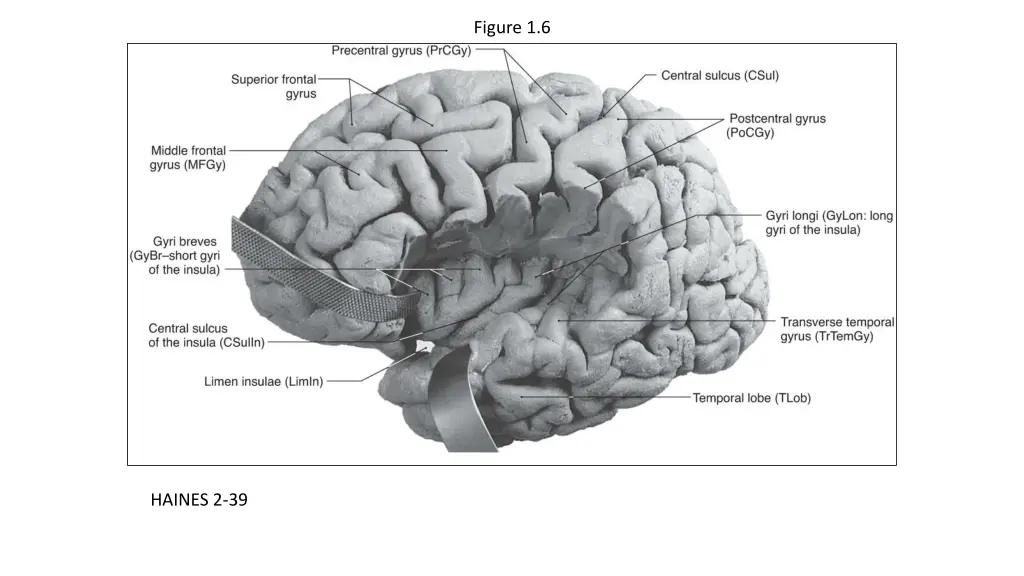 figure 1 6