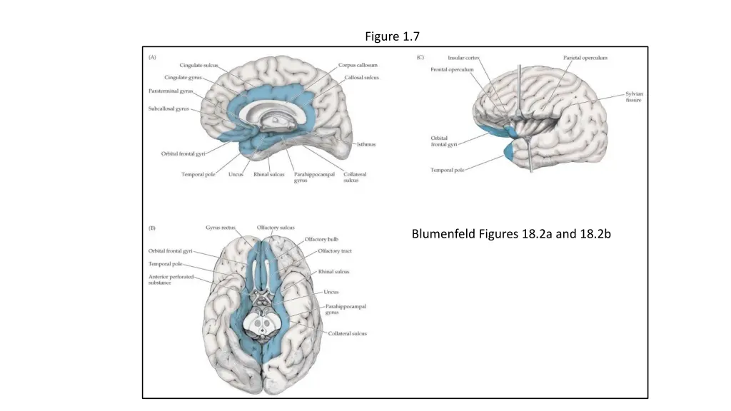 figure 1 7