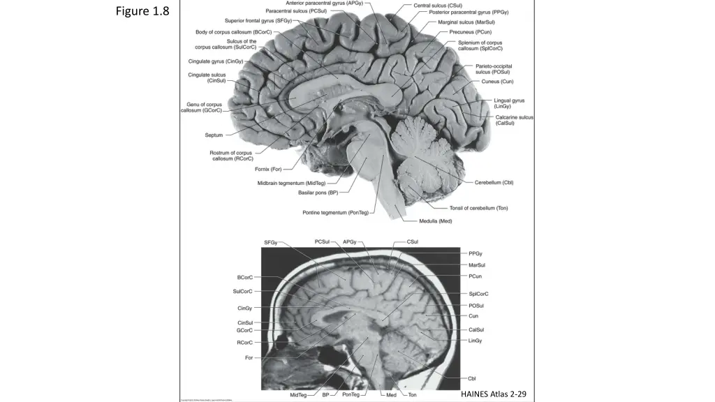 figure 1 8