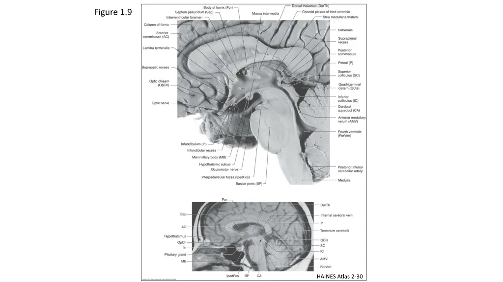 figure 1 9