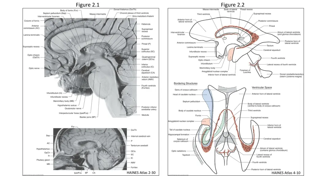 figure 2 1