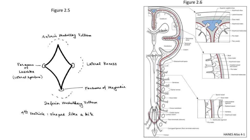 figure 2 6